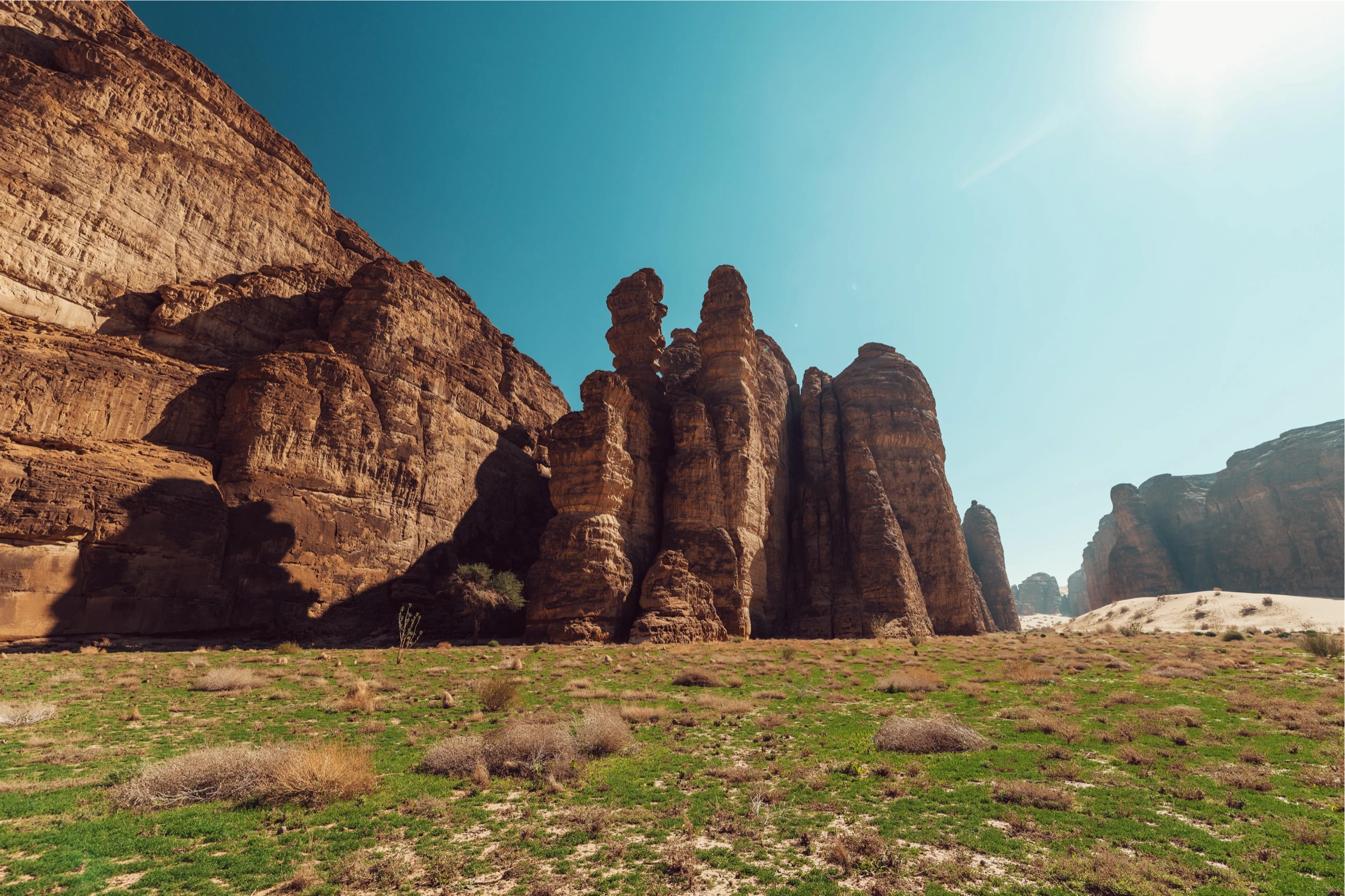 Wander in : AlUla